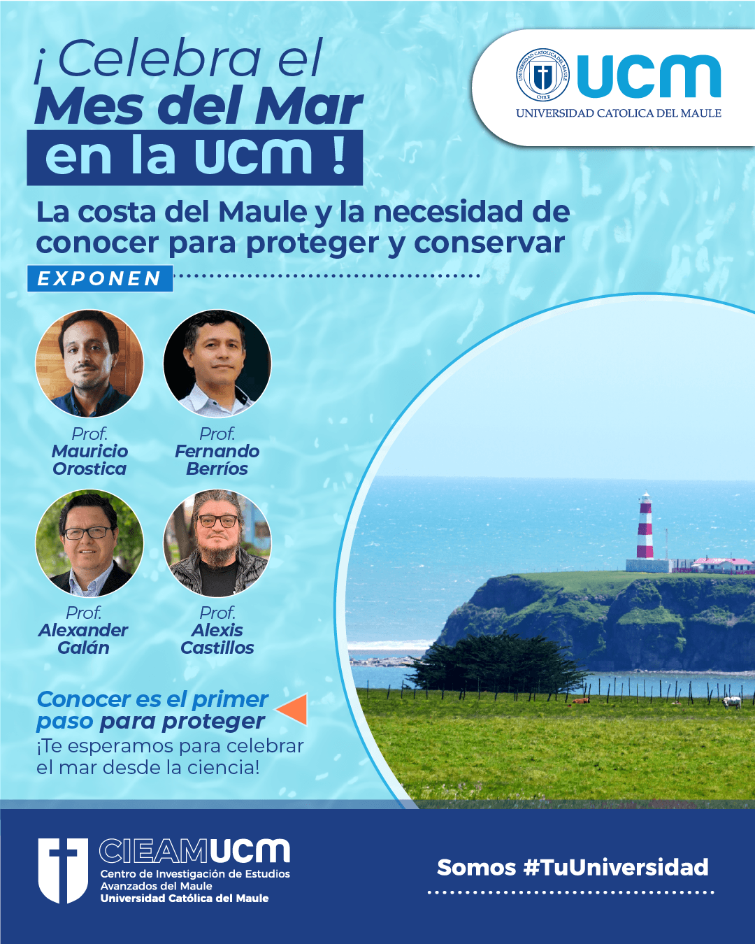 t6235) mes del mar costa maule_Carrusel2.png